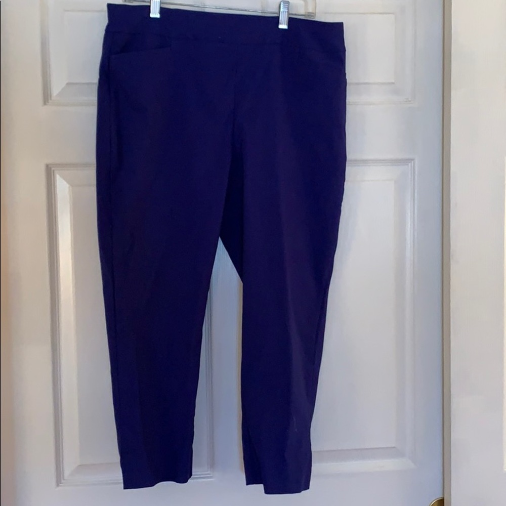 Blue So Slimming Chico’s Capris